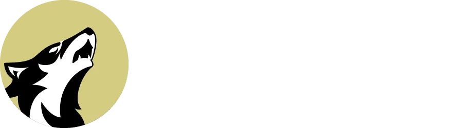 D-WOLF［ディーウルフ］ドローンショップ